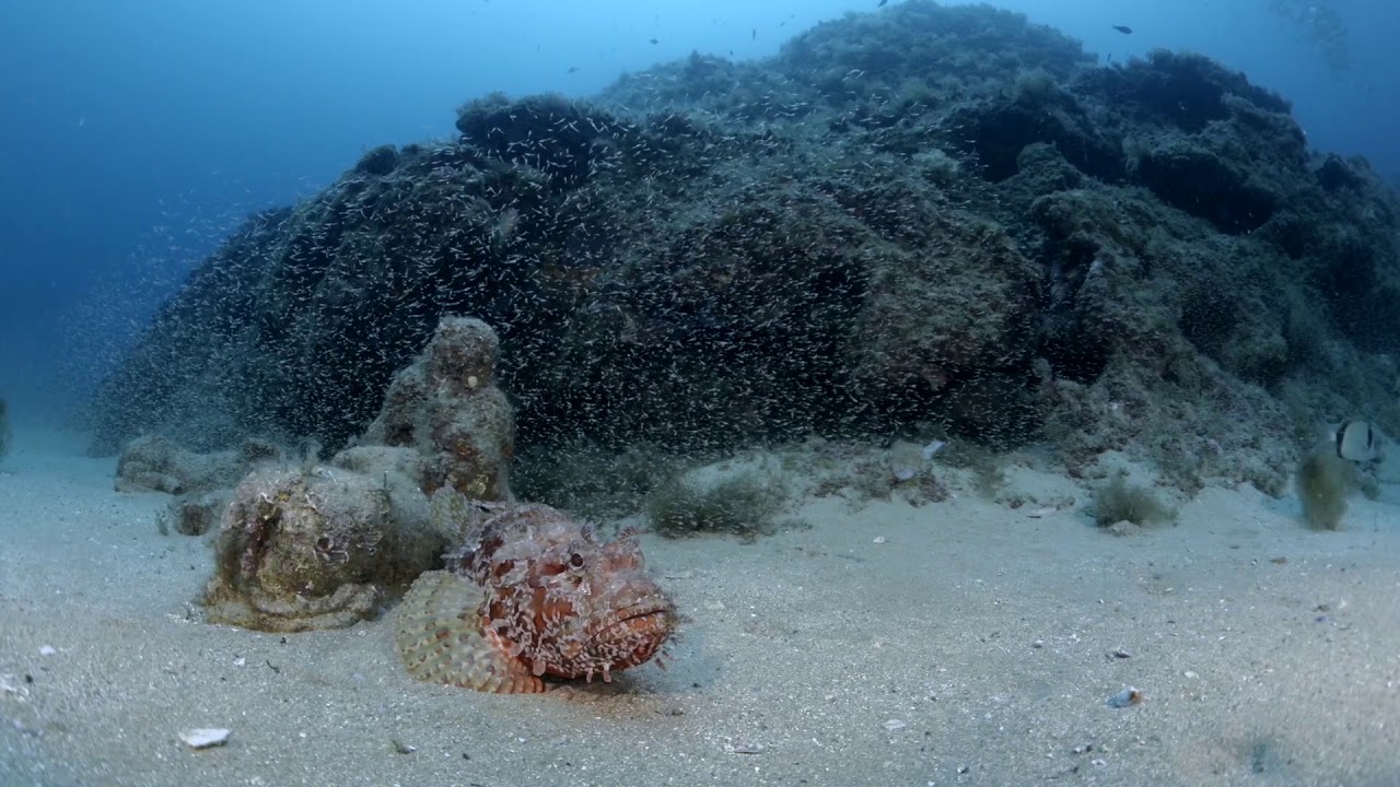 Buceo en Tossa de Mar - Buceo en la Costa Brava.