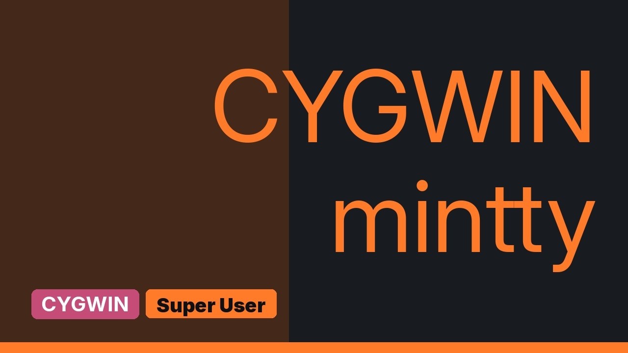 How to start mintty xorg mode?