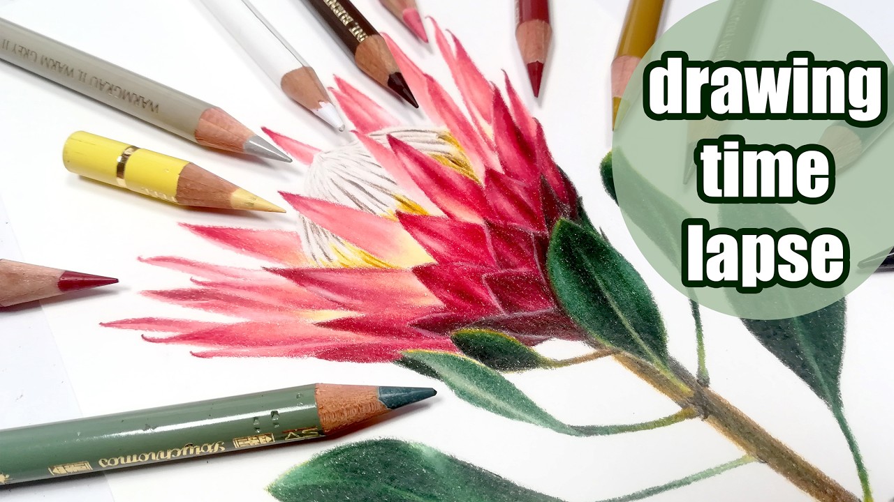 The SECRET to Drawing a Protea Flower Like a Pro