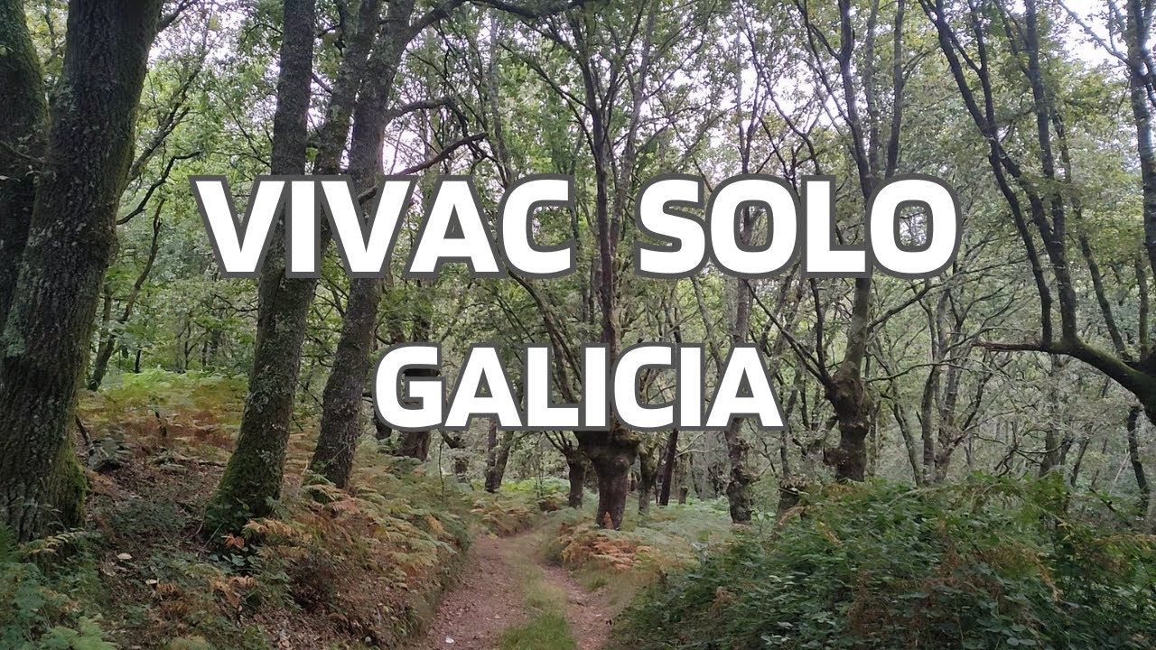 VIVAC en GALICIA | CAMINO de SANTIAGO SANABRÉS
