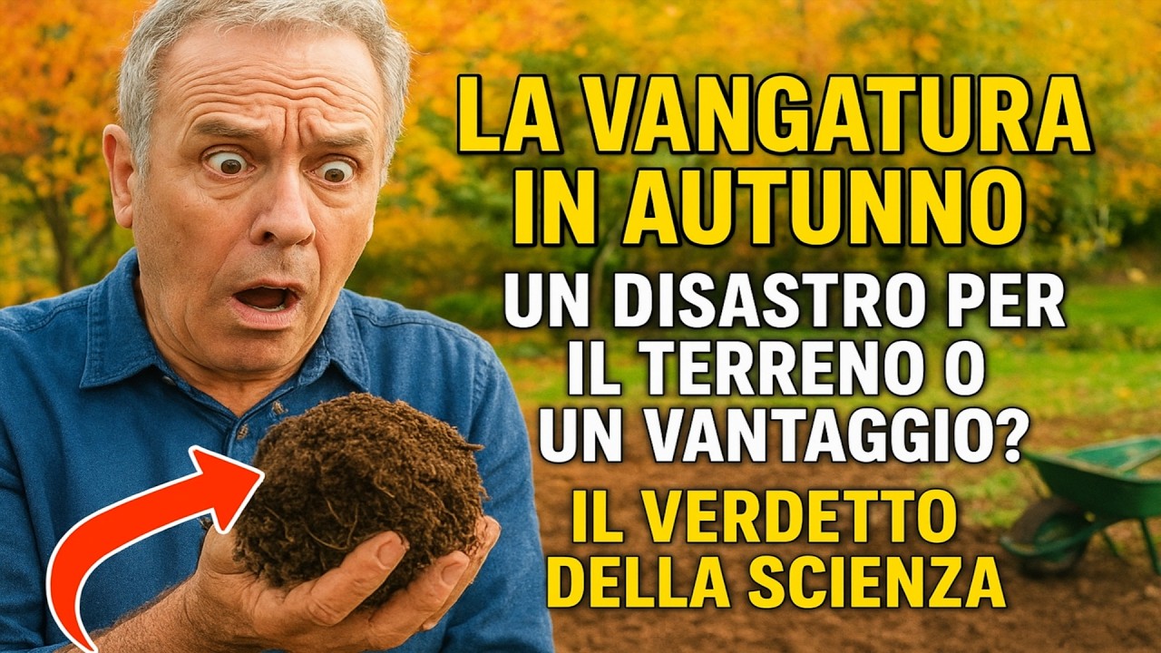 La vangatura in autunno: Un DISASTRO per il terreno o un VANTAGGIO? Il verdetto della scienza.