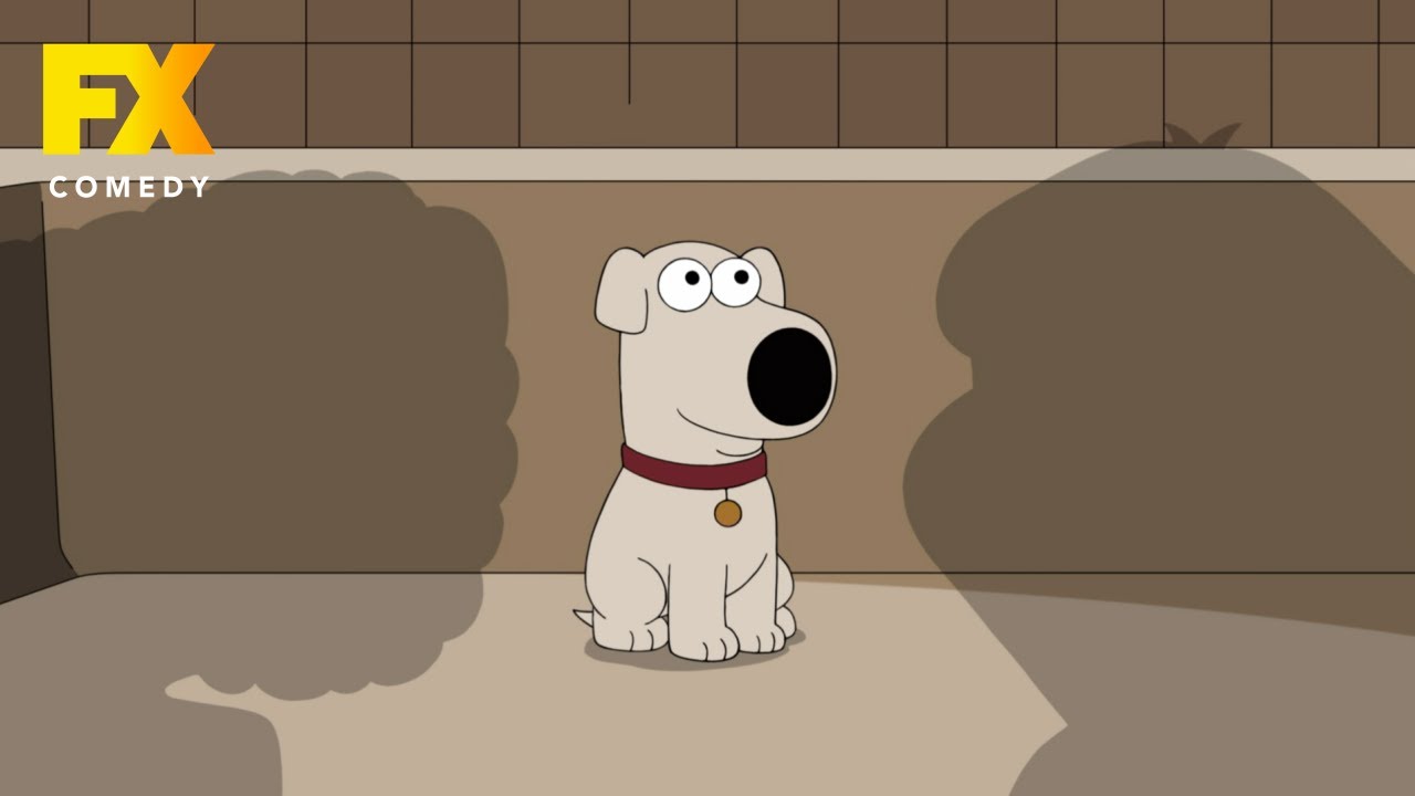 Trauma wczesnoszczenięca Briana 🛁 | Family Guy: Głowa rodziny