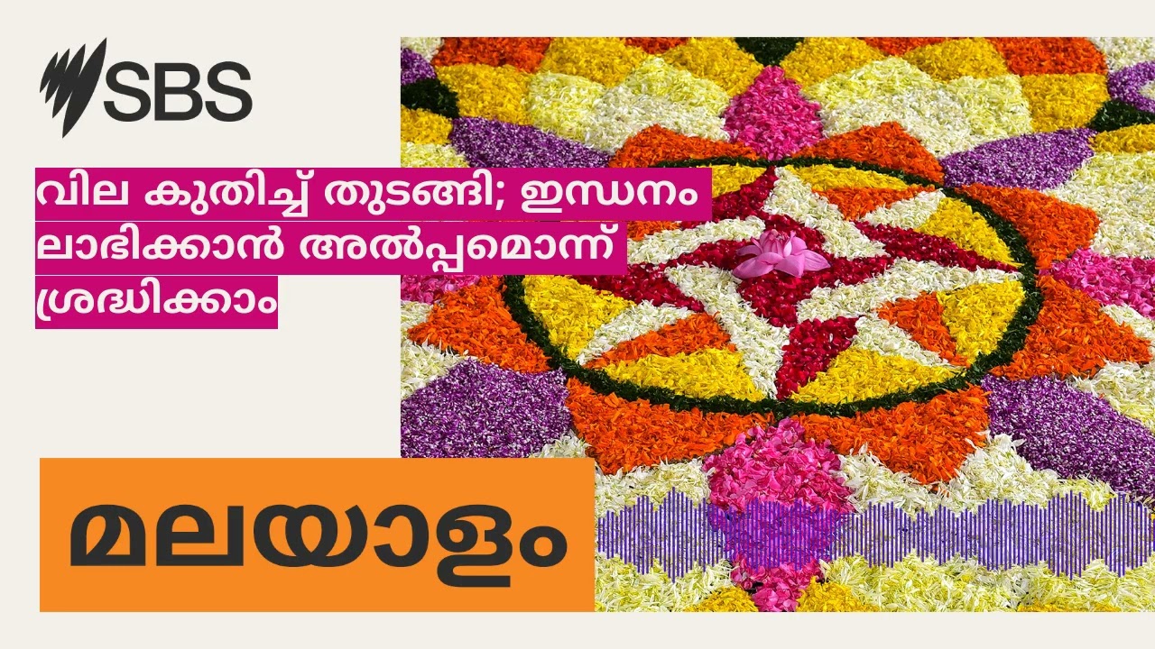 വില കുതിച്ച് തുടങ്ങി; ഇന്ധനം ലാഭിക്കാൻ അൽപ്പമൊന്ന് ശ്രദ്ധിക്കാം | SBS Malayalam - എസ് ബി എസ്...
