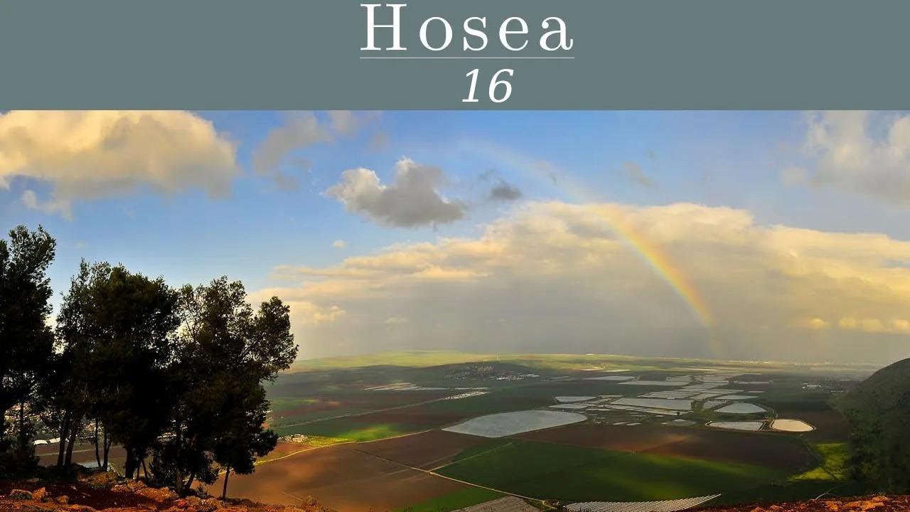 Hosea 7 - Foolish Sin