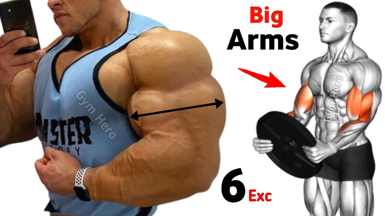 6 Best Arm Exercises Biceps and Triceps Workout at Gym
