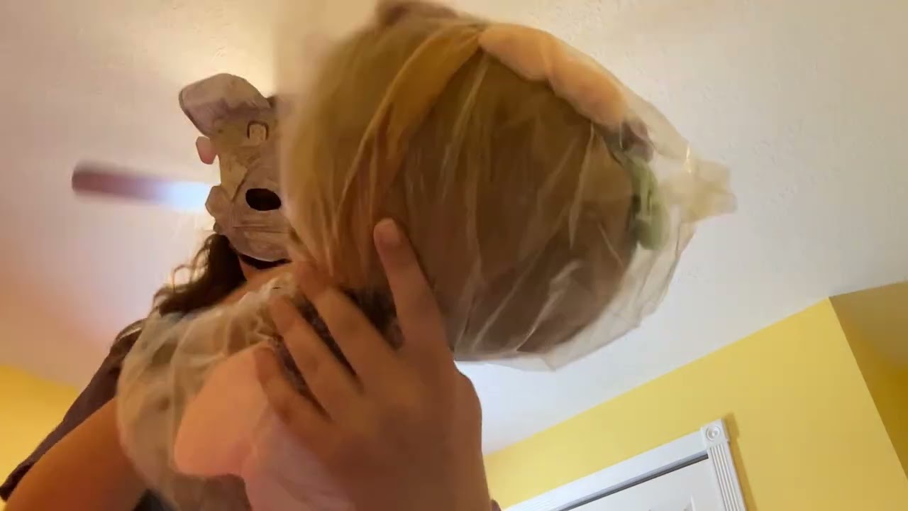 My Bassie plush is here and uh yeah