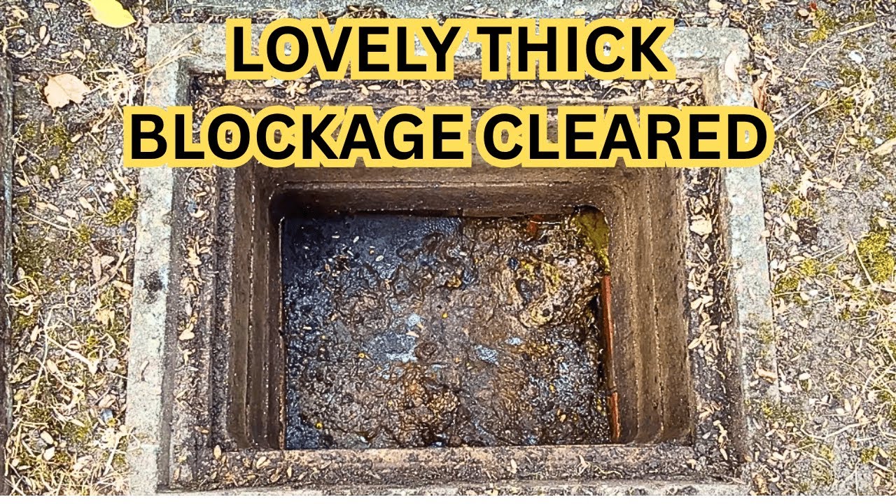 Watch This Drain Go From Blocked to Flowing!