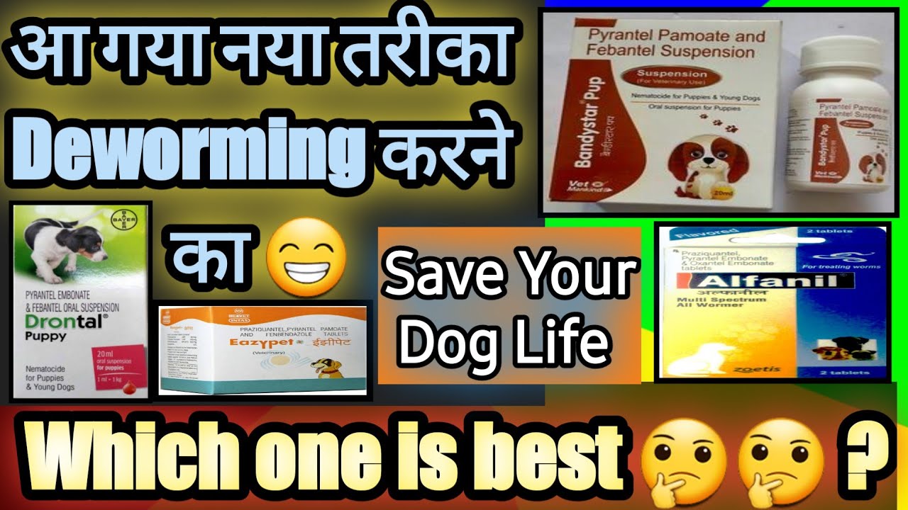 new method for puppy deworming || dog deworming || best deworming medicine || 100 % Resulted