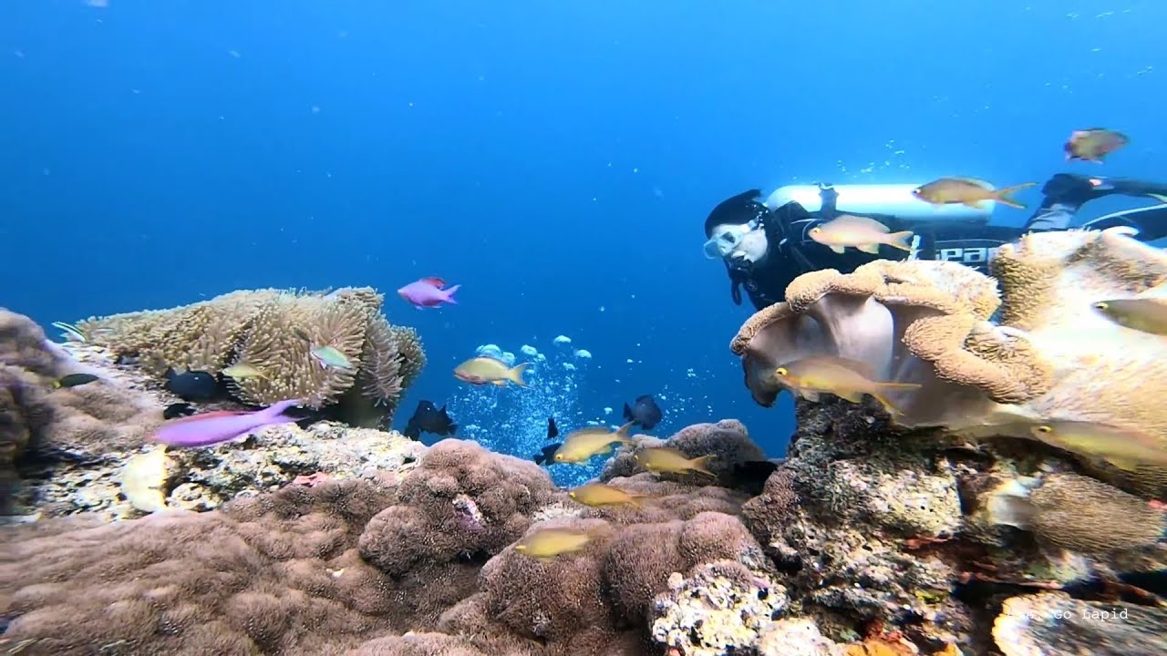 Cabilao Island - Gopro Underwater