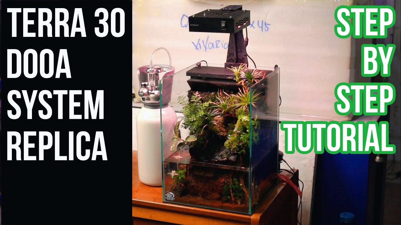 ‼️Terra 30 Dooa system (Replica) Step by step paludarium 😃👍