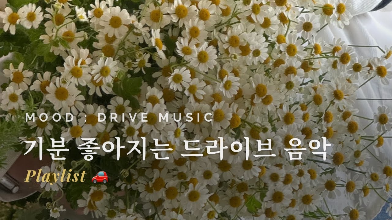 playlist | 도입부부터 힘이 솟아 오늘도 세상의 억까를 이겨 낸 당신을 위한 팝송 | Drive & Work BGM