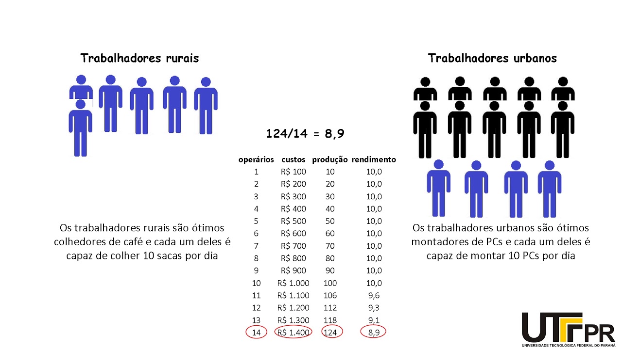 Aula 3 lei dos rendimentos decrescentes