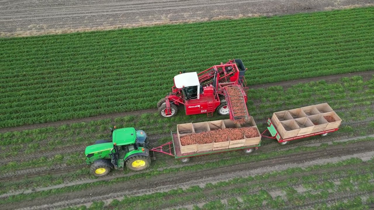 Zbi&oacute;r marchwi | Dewulf ZKIIs | John Deere