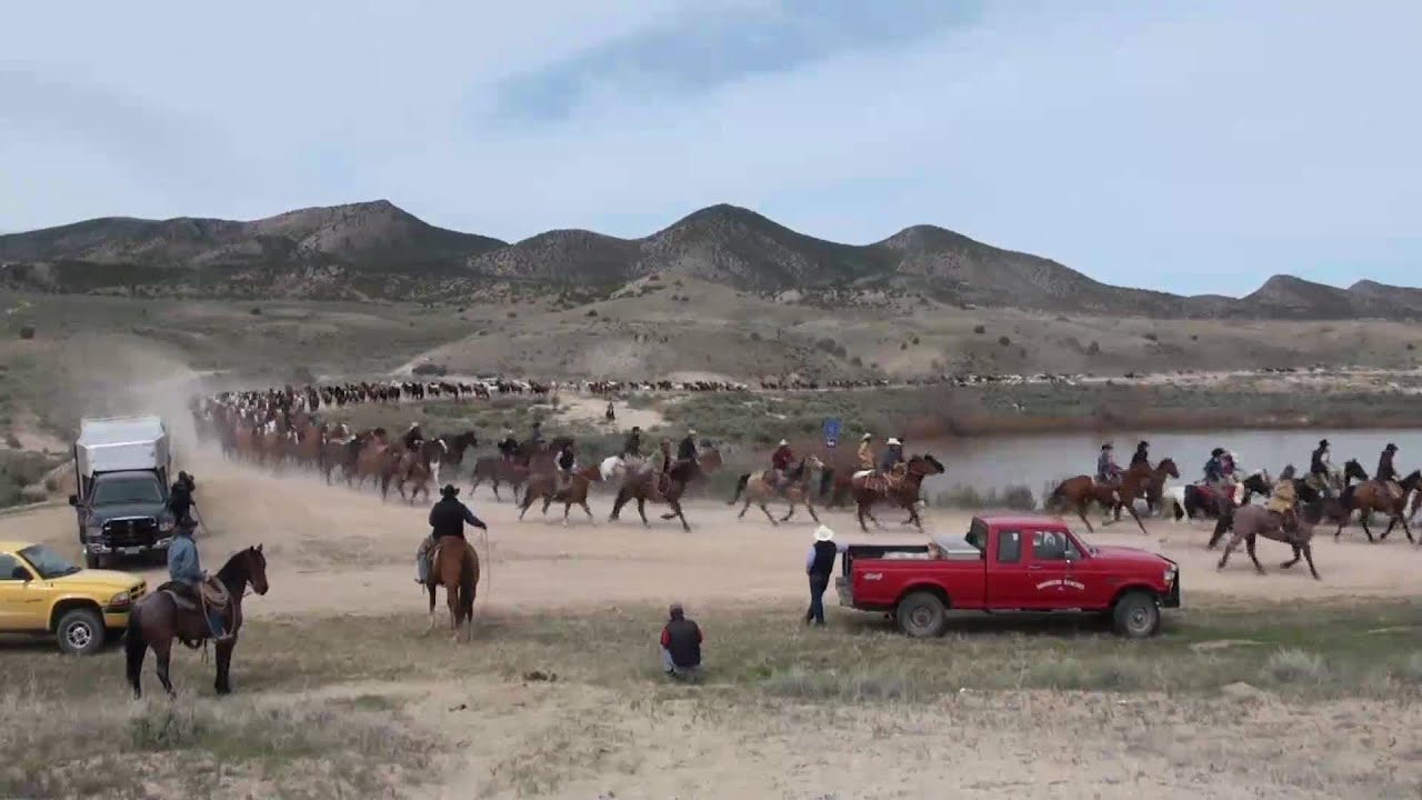 2010 Sombrero Ranch Browns Park