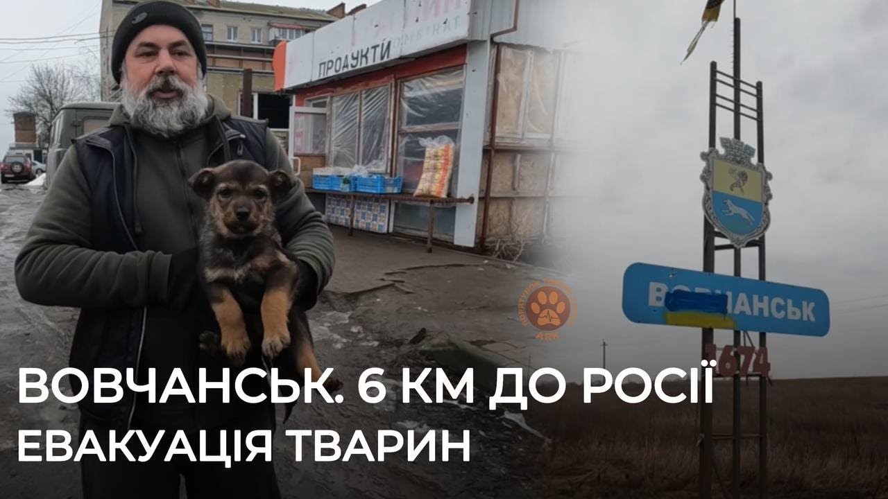ВОВЧАНСЬК | В місті посилилися обстріли | Евакуація тварин