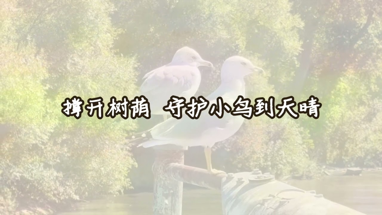 【玩具狗狗inJC】请微笑向前走——填词演唱