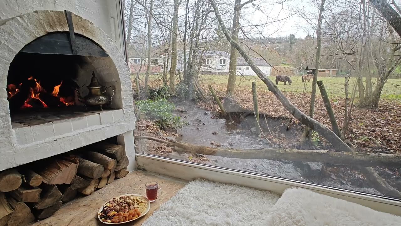 Fire in the Wood Stove | Quiet Window View (53 Minutes)