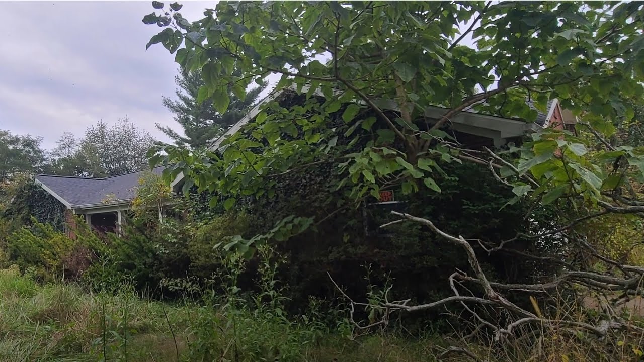 From Neglected to Beautiful: Transforming 80 Acres of Abandoned Land