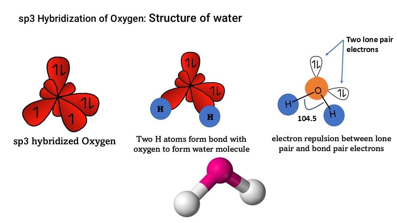 Hybridization of oxygen: Structure of water molecule