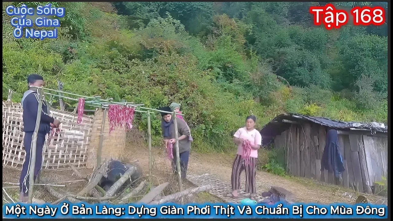 GINA Tập 168 - Một Ngày Ở Bản Làng: Dựng Giàn Phơi Thịt Và Chuẩn Bị Cho Mùa Đông