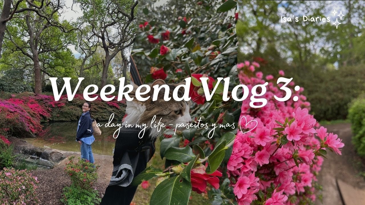 Weekend Vlog 3: Richmond Park, Bang Bang Oriental, paseitos y mas -  Isa's Diaries