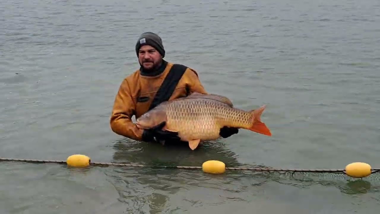 Netting Lac D'Arcy 2023 part 1