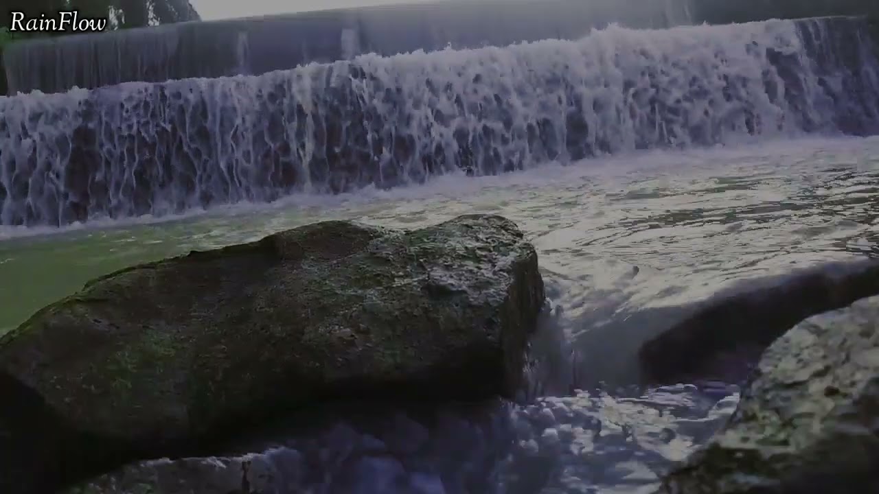 Flowing River & Forest Birdsong | Relaxing Nature ASMR Ambience