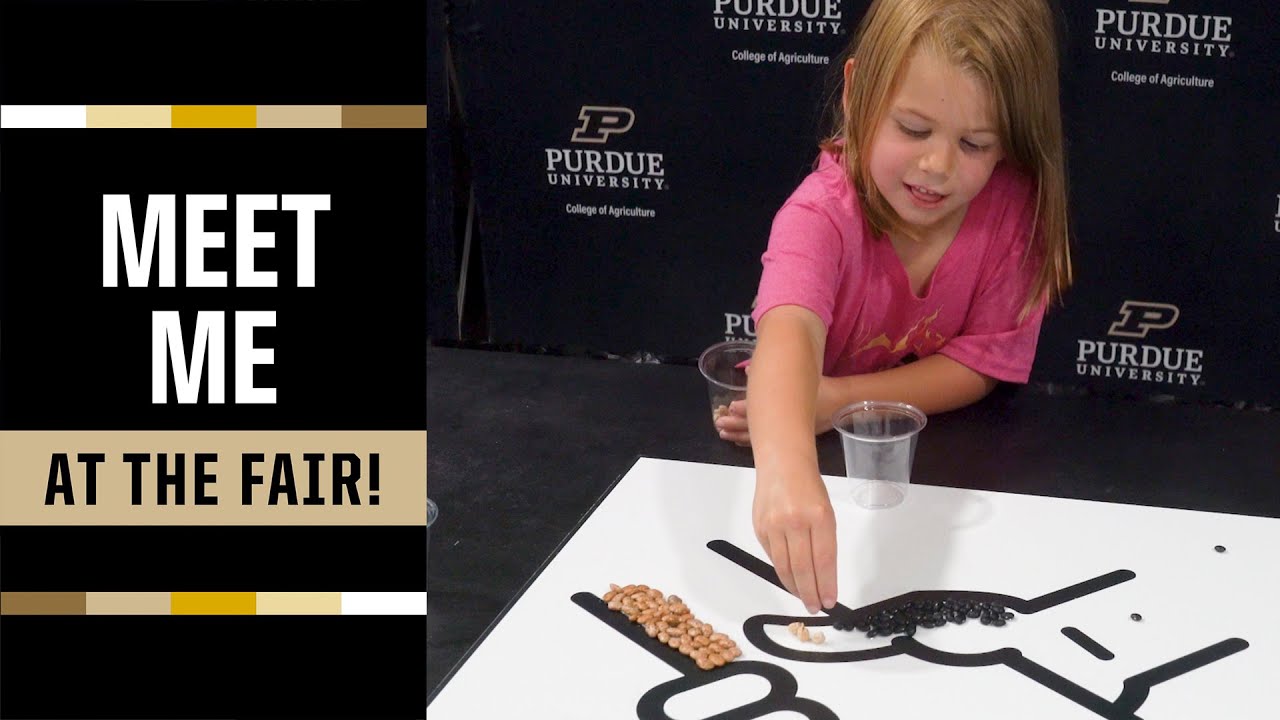 Meet Me at the Fair: Tour the Purdue Extension Building