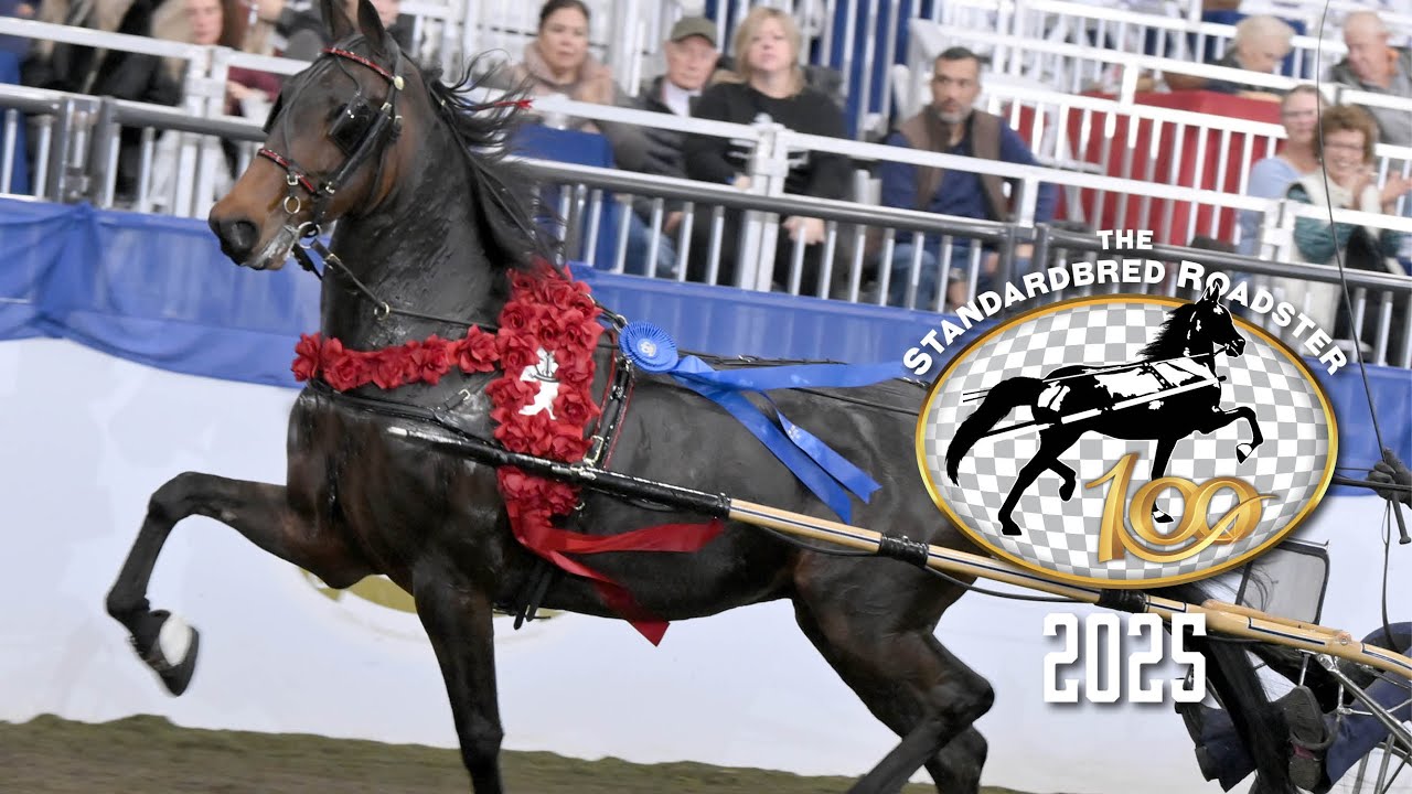 2025 Standardbred Roadster 100 | World's Championship Show, Louisville, KY | August 19, 2025