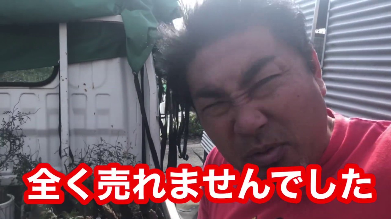 国際多肉植物ビッグバザール！佐原の名店うなぎ屋さんを探索したらめちゃんこ美味しいうなぎ屋さんを発見！田代まさしは覚醒剤をやめれるのか？ブラックマーシー！懲役太郎