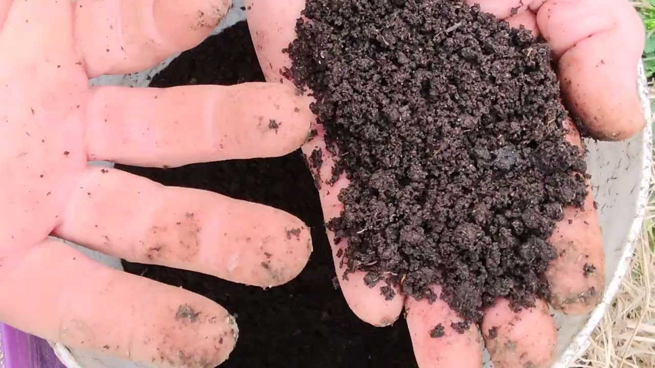 COMO FERTILIZAR HORTALIZAS DE CICLO LARGO