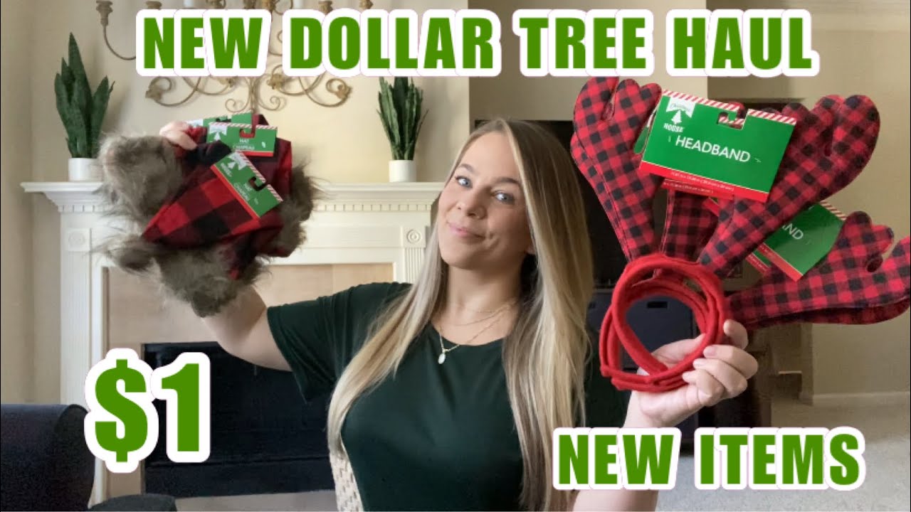 NEW DOLLAR TREE HAUL *HUGE*NEW ITEMS*BRAND NAME ITEMS*