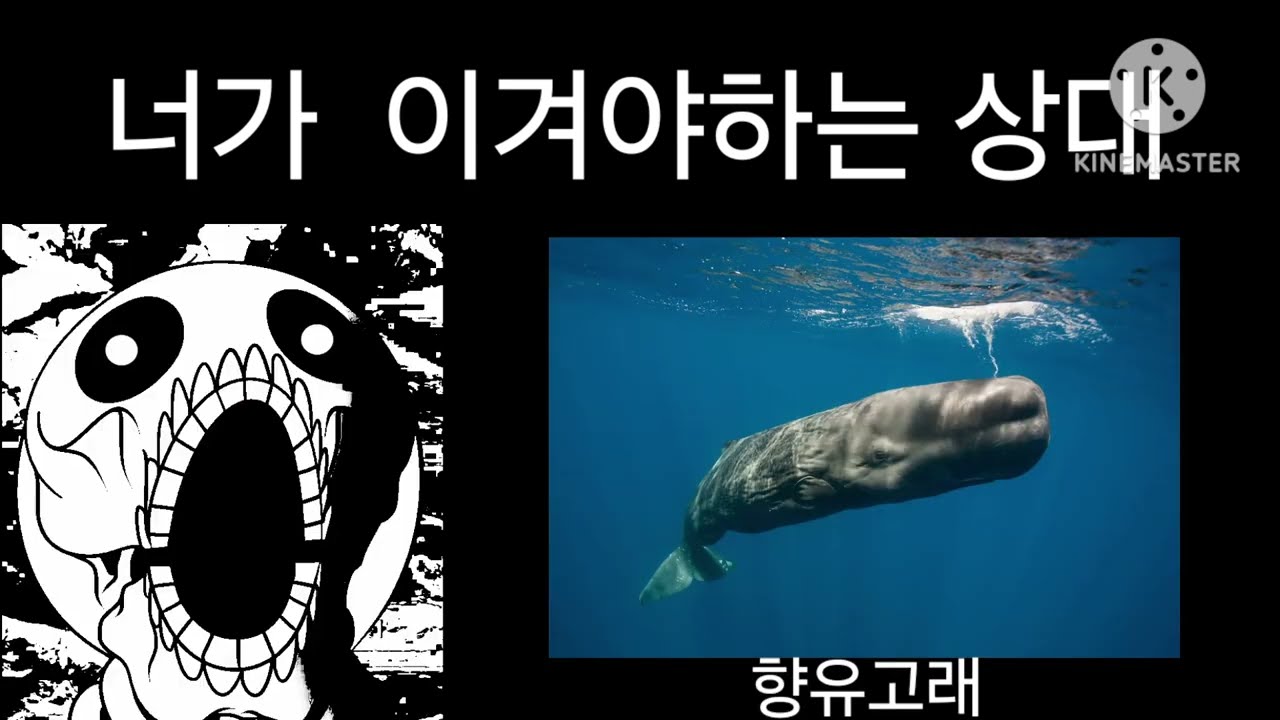 소맥거핀 절망편 [너가 이겨야하는 상대]