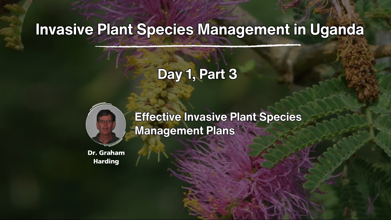 Effective Invasive Plant Species Management Plans