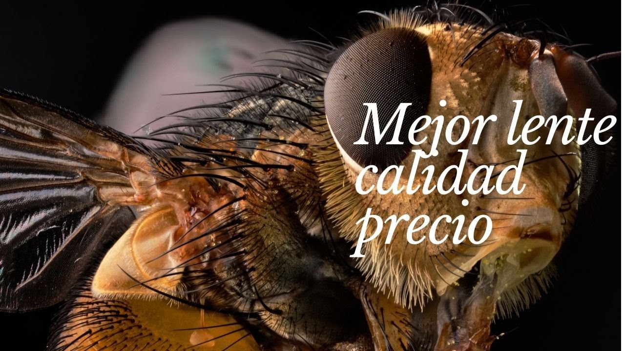 Mejor lente calidad precio amscope 4x - para macro extremo