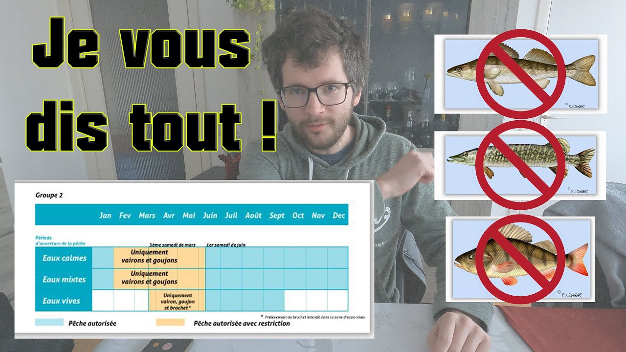 Que faire pendant la fermeture Wallonne de la pêche du carnassier ?! 🎣🚫❓ Quelques idées 😉
