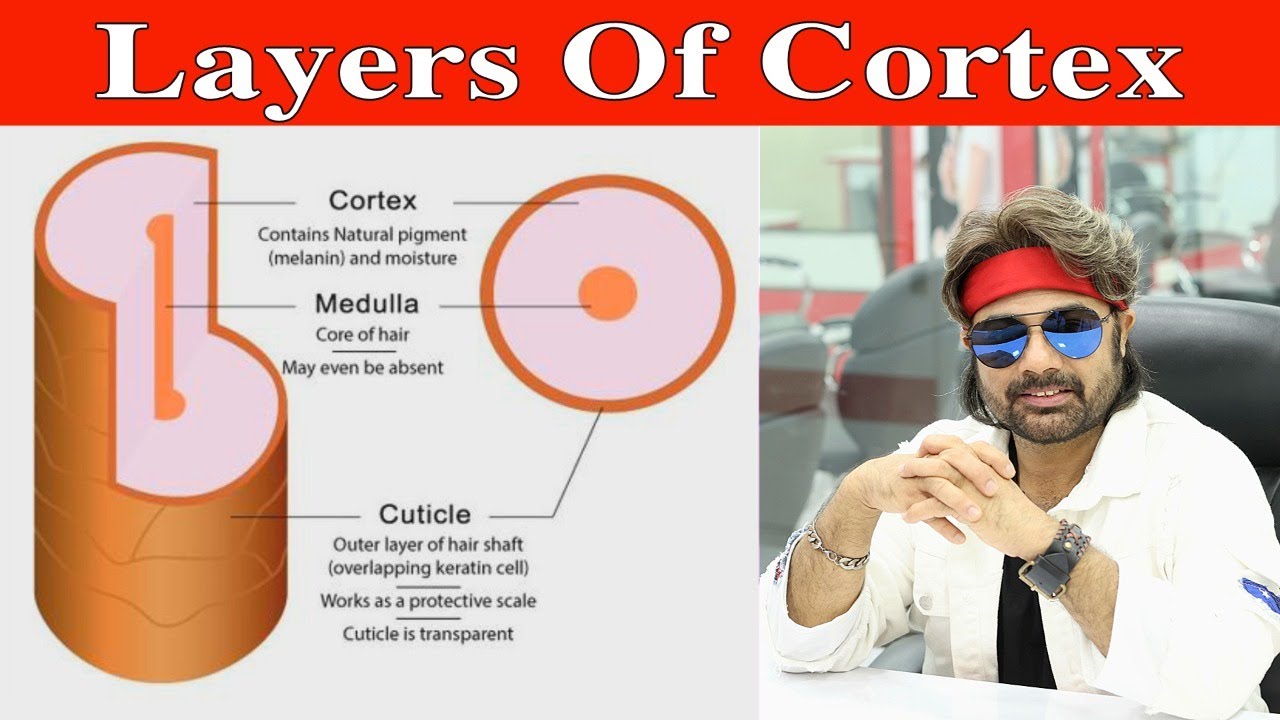 Layers of Cortex by Jas Sir from Sam and Jas Hair & Makeup Academy MUMBAI.