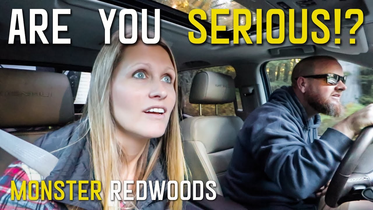 RVING TO THE REDWOODS | LEAVING THE 101 AND OREGON COAST FOR CALIFORNIA S3 || Ep35