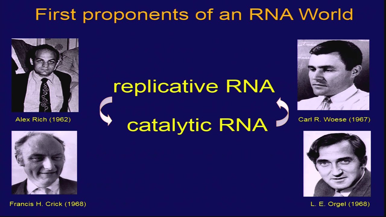 Antonio Lazcano - El mundo del RNA y el origen de la vida: Hacia una bioquímica evolutiva.