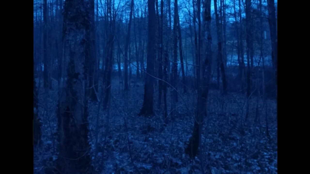 Buhurt – Blaue Winternacht