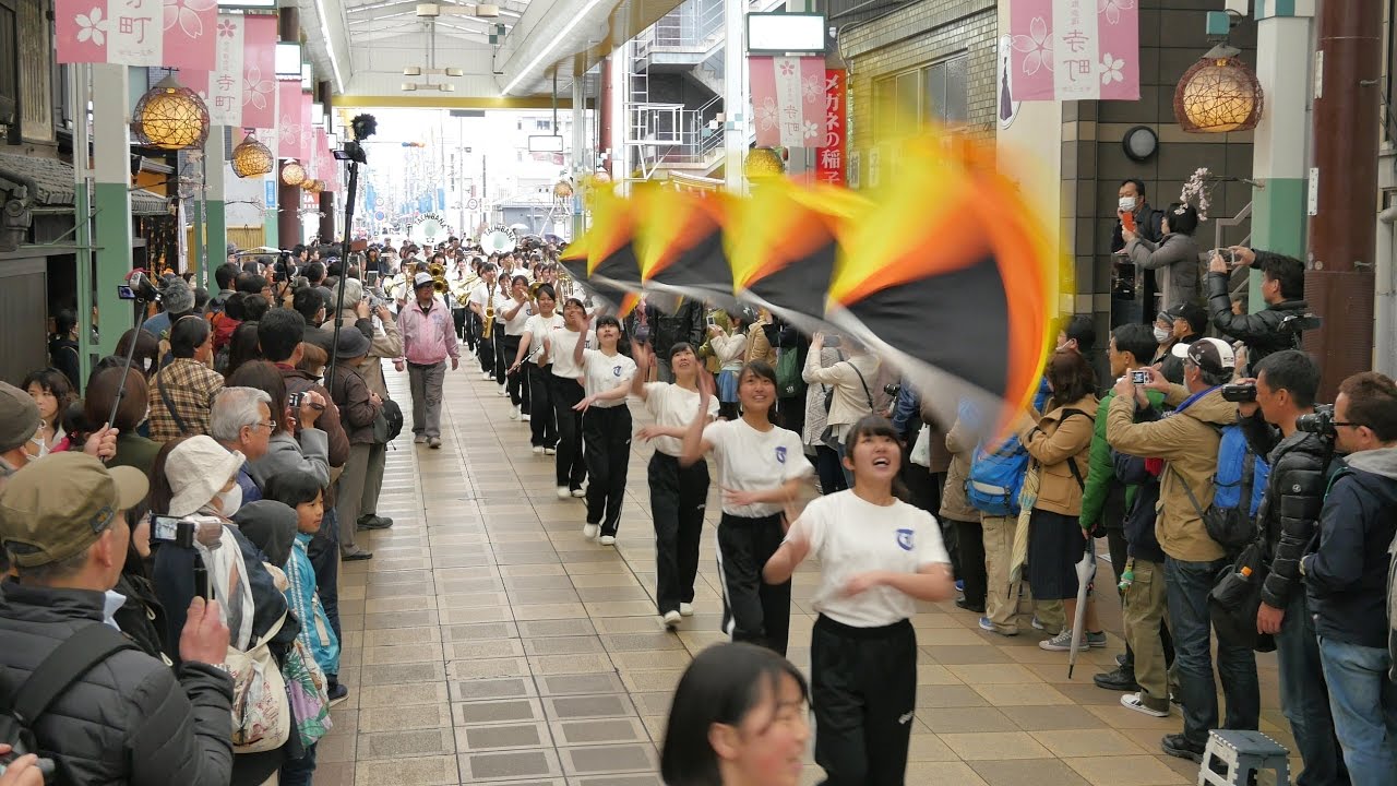 20170326 第16回京都さくらパレード 京都橘高等学校吹奏楽部 街頭パレード編（Lumix GH4、Beholder DS1）