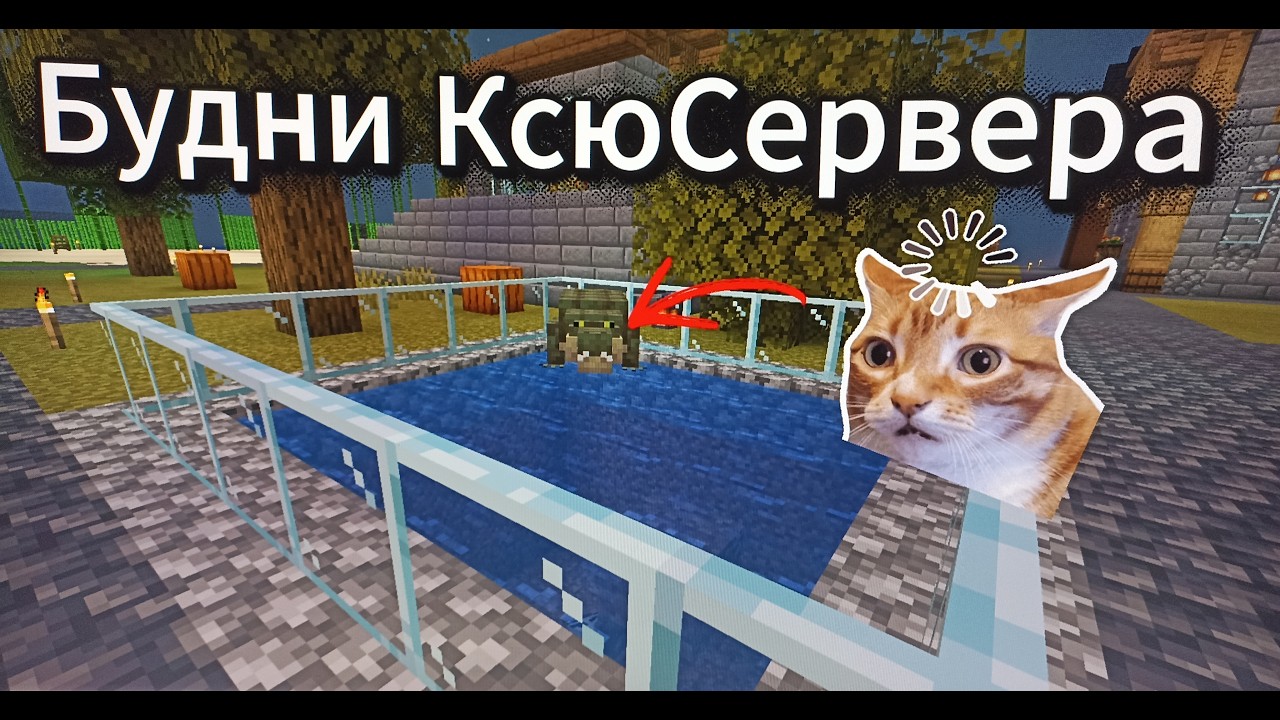 Денис такое не терпит.Будни КсюСервера