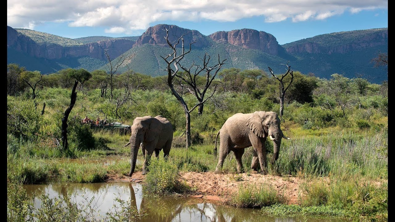 Waterberg Reserve - South Africa : Overview