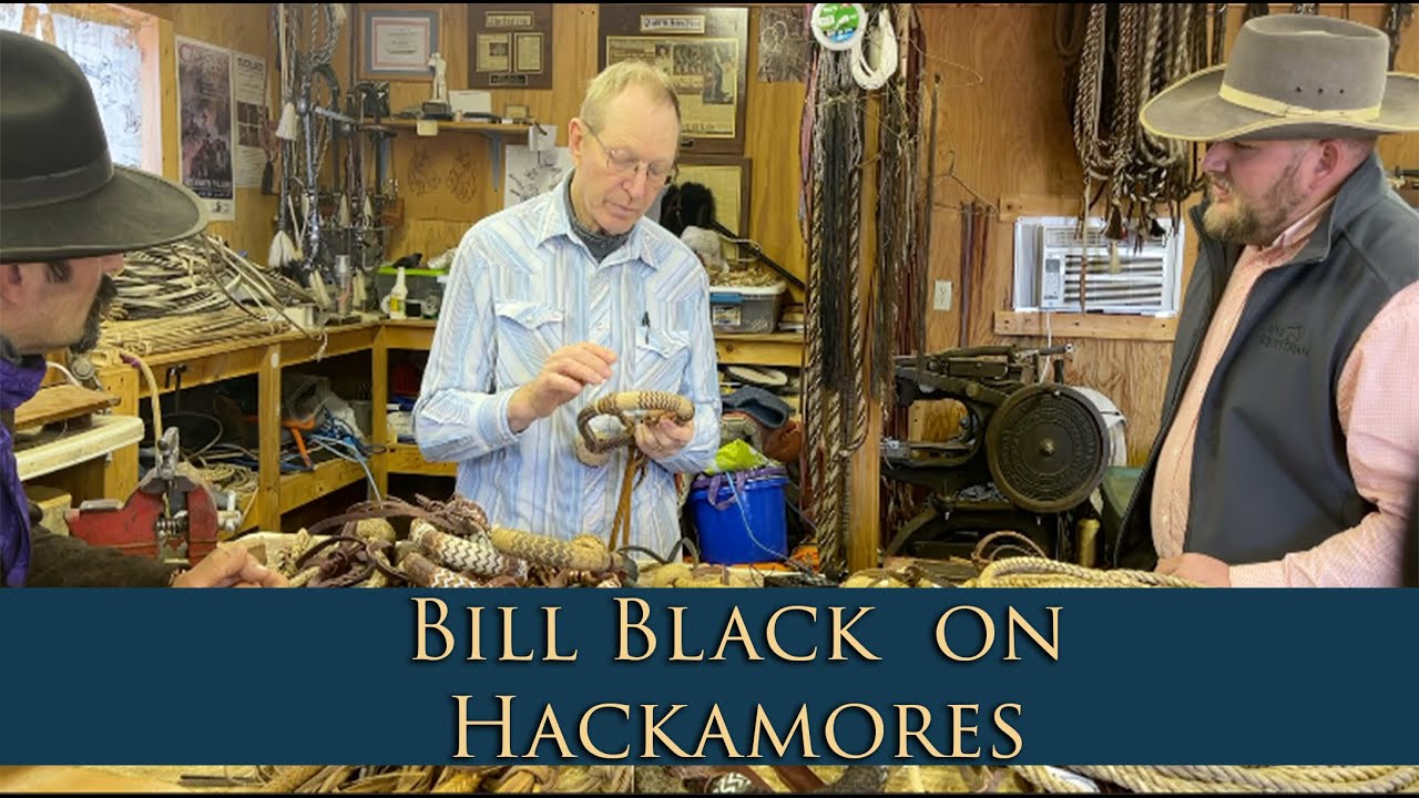 Bill Black Talks Hackamores