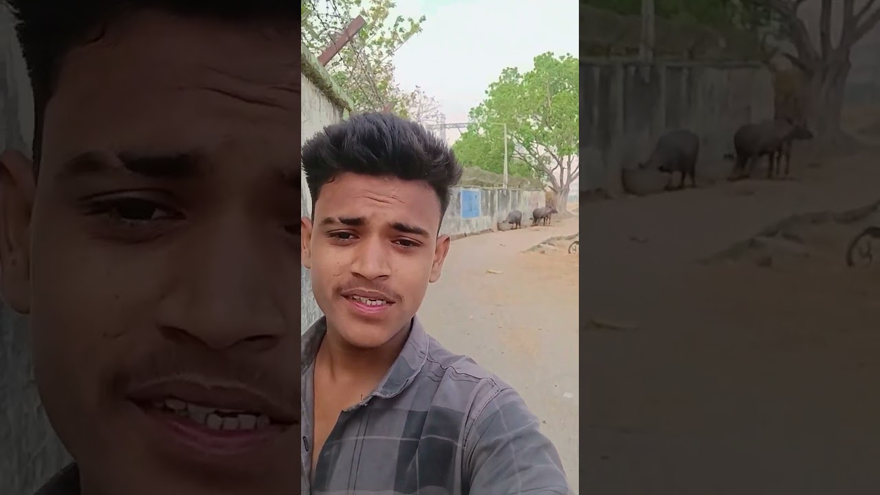 ho jana jaruri vgg. gfdx. gsaw cvvrdc