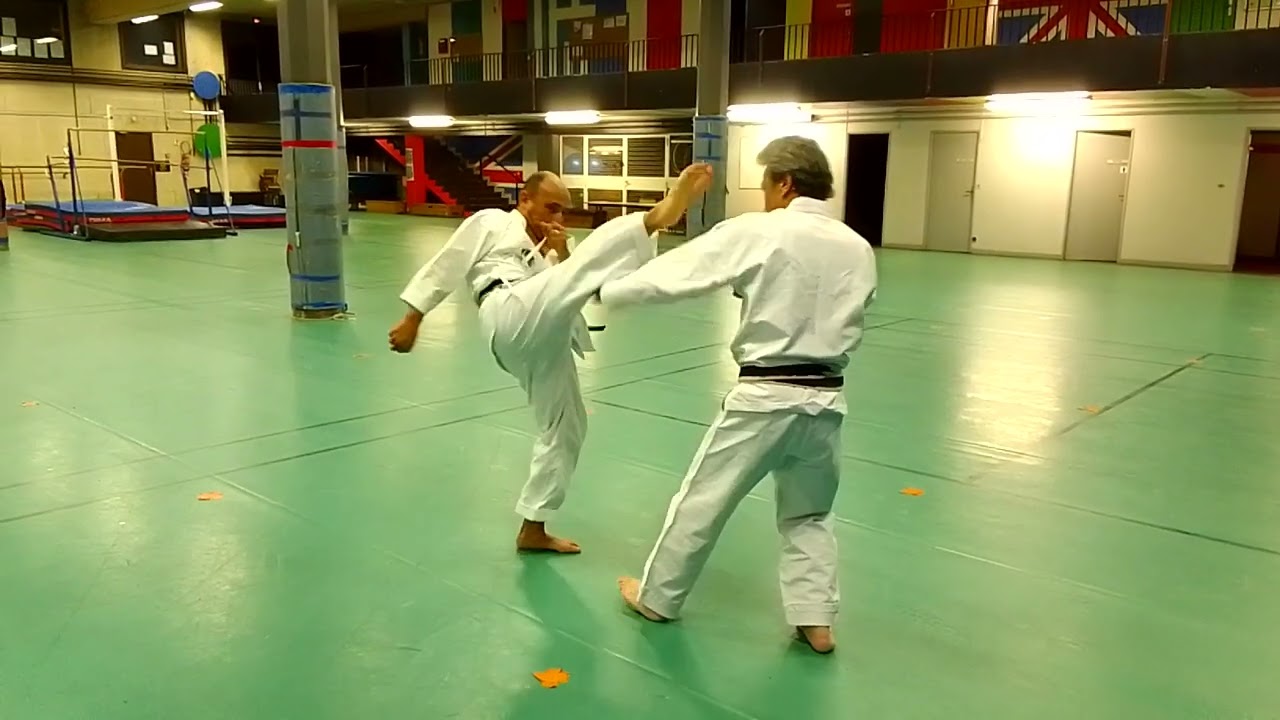 Wado Ryu : Sen Sen No Sen