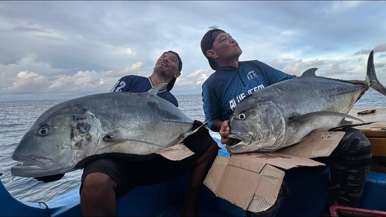 Tarikan Mama GT Gosong Pasir Lampung, Reel DAIWA Saltiga dan SHIMANO Twin Power berderit kencang.