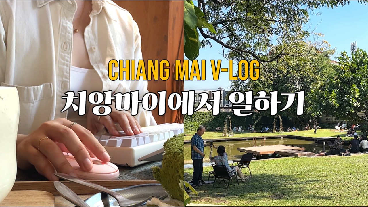 웹소설 작가의 치앙마이 마감 브이로그: 나 혼자 치앙마이 한달살기