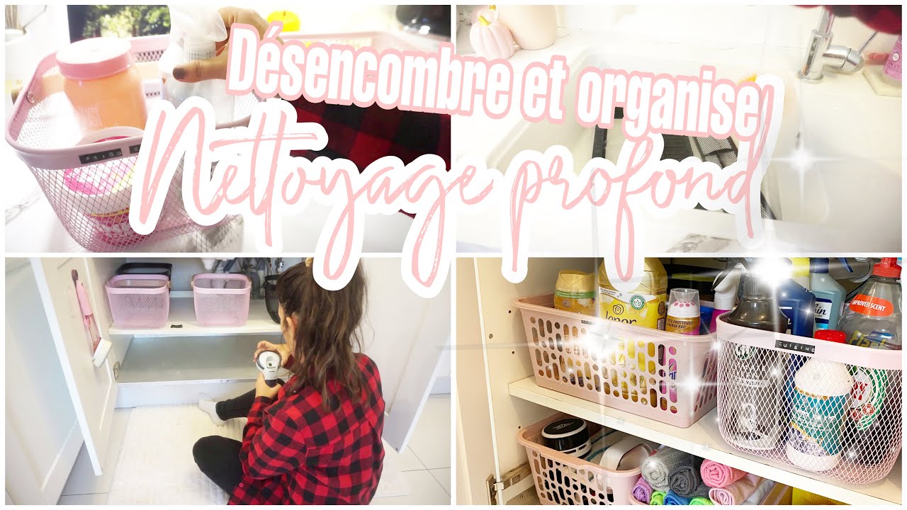 NETTOYAGE PROFOND, D&Eacute;SENCOMBRE ET ORGANISE AVEC MOI !!