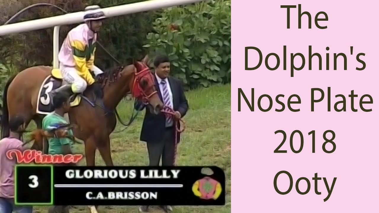 Glorious Lilly with C A Brisson up wins The Dolphin's Nose Plate 2018